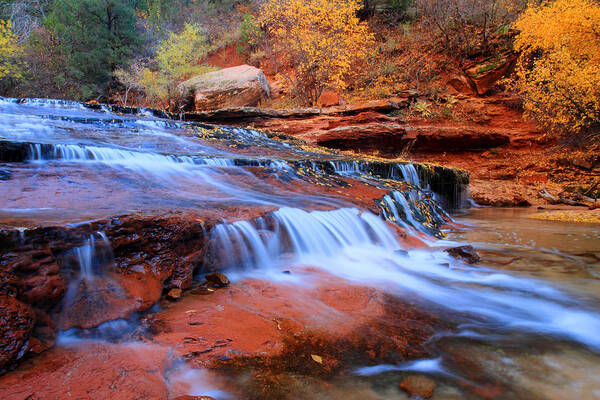 Zion Poster featuring the photograph Zion National Park in Autumn waterfall by Pierre Leclerc Photography