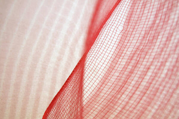 Crisscross Poster featuring the photograph Abstraction In Plastic Net #1 by Magaiza