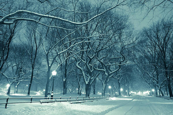 The Mall Poster featuring the photograph Central Park By Night During Snow Storm #1 by Pawel.gaul