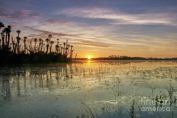 Usa Poster featuring the photograph Florida Sunrise #1 by Brian Kamprath