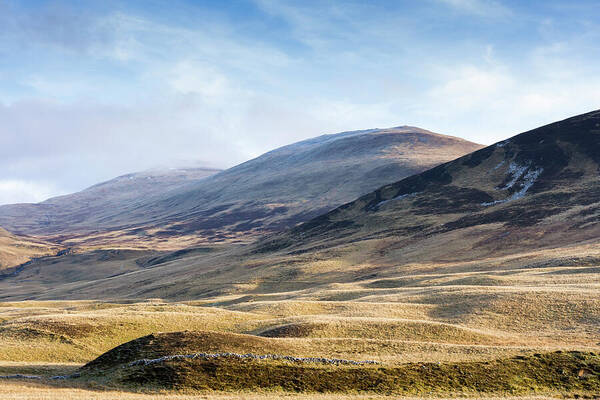 British Isles Poster featuring the photograph In The Highlands by Tanya C Smith