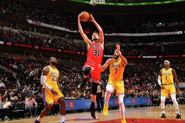 Tomas Satoransky Poster featuring the photograph Los Angeles Lakers V Chicago Bulls #1 by Jesse D. Garrabrant