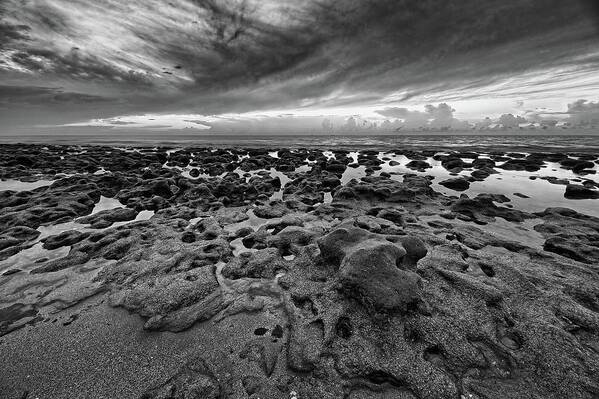Coral Cove Poster featuring the photograph Low Tide #1 by Steve DaPonte