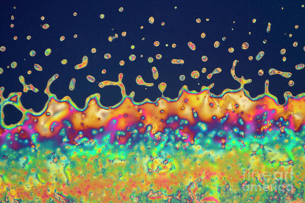 Liquid Crystal Poster featuring the photograph Phase Transition In Liquid Crystal #1 by Karl Gaff / Science Photo Library