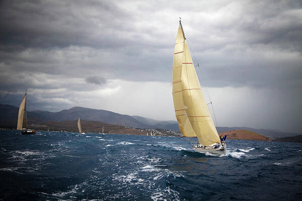 Wind Poster featuring the photograph Sailing #1 by Travenian