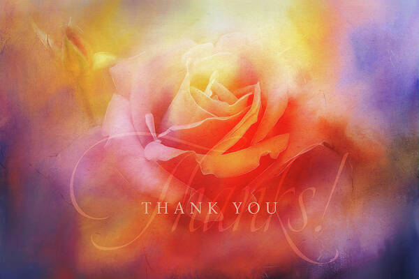 Photography Poster featuring the digital art Saying Thank You by Terry Davis