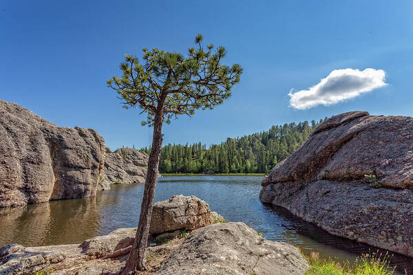 Custer State Park Poster featuring the photograph Sylvan Lake #1 by Chris Spencer