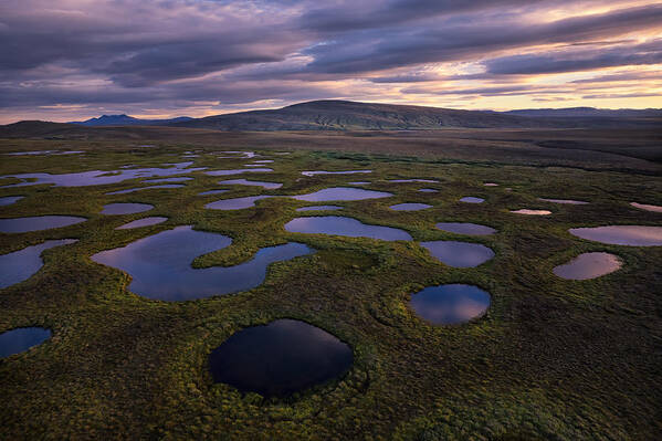 Sky Poster featuring the photograph Wetland (iceland) #1 by Yy Db