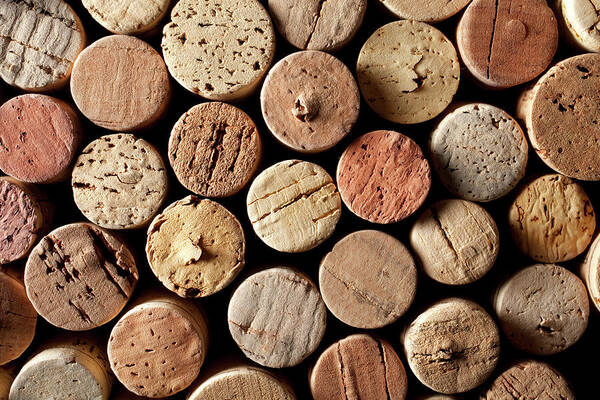 Alcohol Poster featuring the photograph Wine Corks #1 by Malerapaso