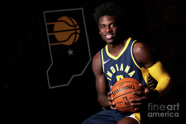 Aaron Holiday Poster featuring the photograph 2018-19 Indiana Pacers Media Day #11 by Ron Hoskins