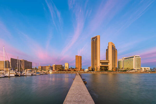 Landscape Poster featuring the photograph Corpus Christi, Texas, Usa Skyline #11 by Sean Pavone