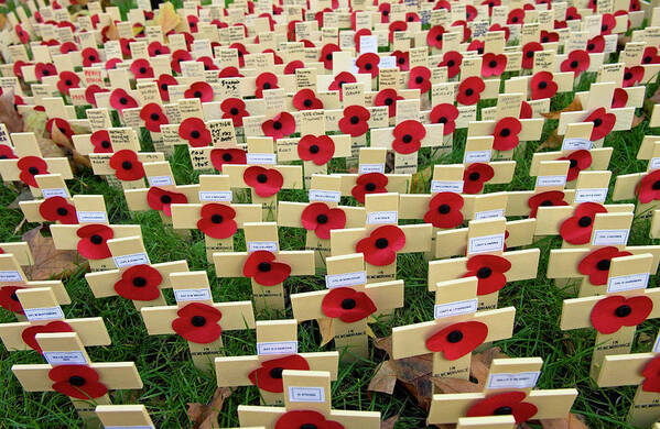 Wooden Crosses And Poppies In The Field Of Remembrance At Westminster Abbey To Commemorate Those Who Have Died In Battle. Three Of The Crosses Represent Members Of The Black Watch Regiment Who Have Recently Died In Iraq.
Photography Poster featuring the photograph 1161-1815 by Robert Harding Picture Library