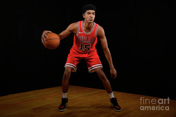 Chandler Hutchison Poster featuring the photograph 2018 Nba Rookie Photo Shoot #13 by Brian Babineau