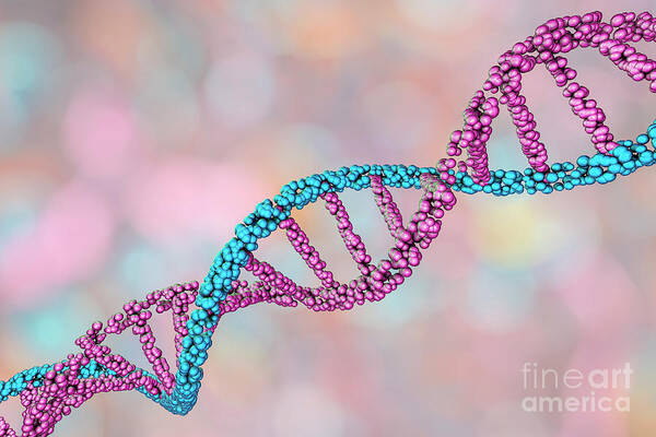 3 Dimensional Poster featuring the photograph Dna Molecule #16 by Kateryna Kon/science Photo Library