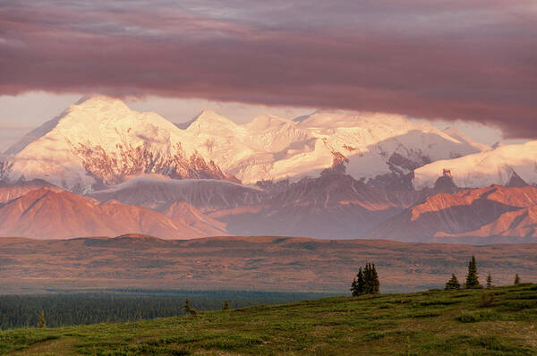 Scenics Poster featuring the photograph Alaska Range With Mt Brooks #2 by John Elk