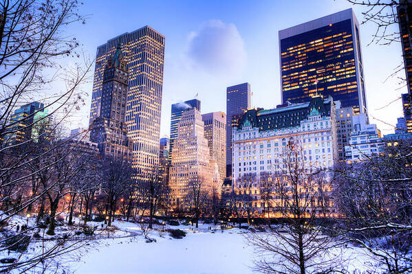 Scenics Poster featuring the photograph Central Park In Winter #2 by Pawel.gaul