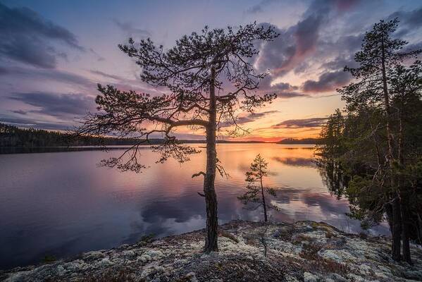 Landscape Poster featuring the photograph Scenic Sunset Landscape With Peaceful #3 by Jani Riekkinen