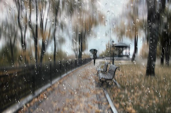 Autumn Poster featuring the photograph Autumn Park #4 by Alexander Kiyashko