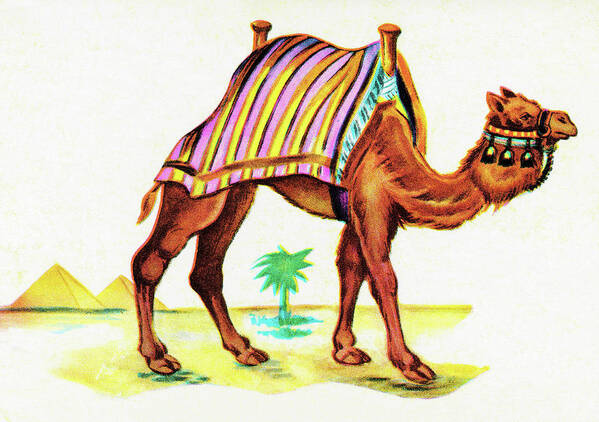 Animal Poster featuring the drawing Camel #5 by CSA Images