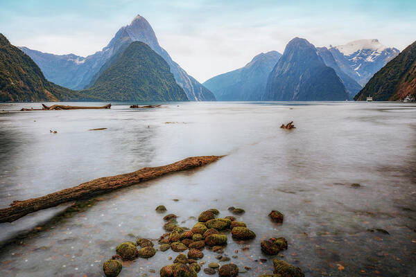Milford Sound Poster featuring the photograph Milford Sound - New Zealand #5 by Joana Kruse