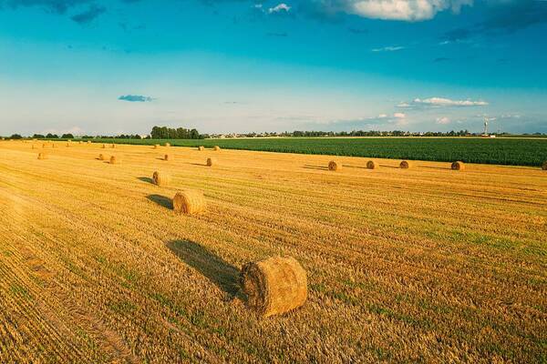 Landscapeaerial Poster featuring the photograph Aerial View Of Summer Hay Rolls Straw #6 by Ryhor Bruyeu