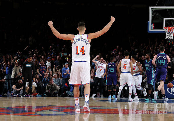 Willy Hernangomez Poster featuring the photograph Charlotte Hornets V New York Knicks #9 by Nathaniel S. Butler