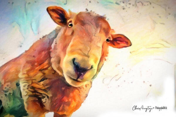 Curious Poster featuring the painting A Curious Sheep called Shawn by Chris Armytage