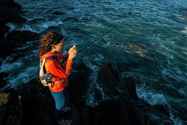 Maine Poster featuring the photograph A Woman Fly Fishing On The Caost Of Maine. by Cavan Images