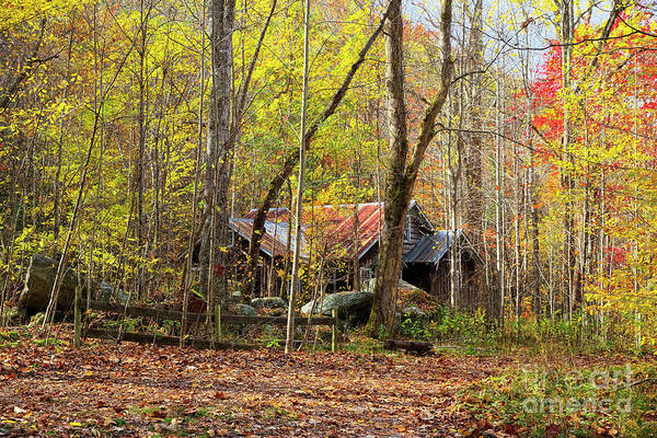 Photographs Poster featuring the photograph Abandoned Farmhouse Embraced By Fall Foliage by Felix Lai