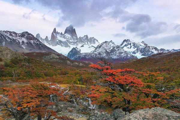 Patagonia Poster featuring the photograph Acun by Ryan Weddle