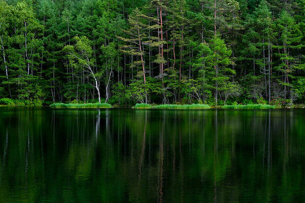 Tranquility Poster featuring the photograph Advent by Char