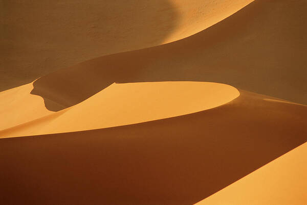 Shadow Poster featuring the photograph Africa, Namibia, Sand Dunes, Full Frame by Peter Adams