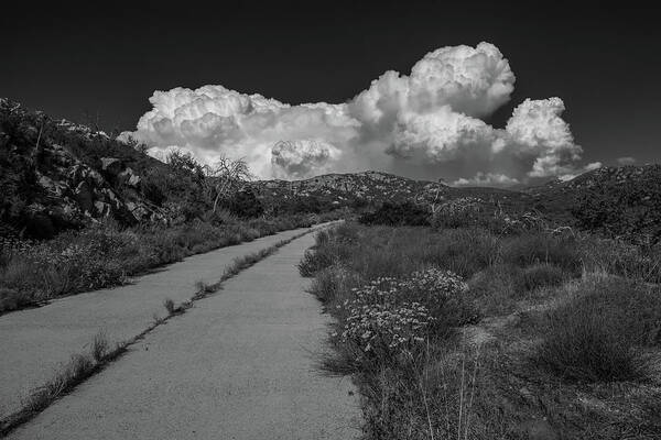 Afternoon Poster featuring the photograph Afternoon, Old Road, Black and White by TM Schultze