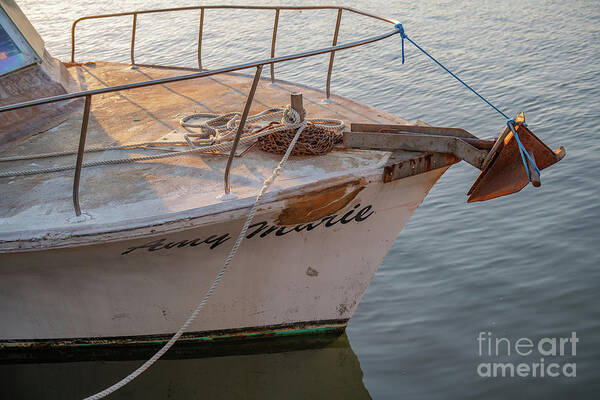 Amy Marie Poster featuring the photograph Amy Marie - Pleasure Boat by Dale Powell