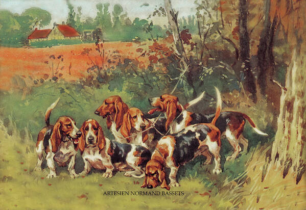 Dogs Poster featuring the painting Artesien Normand Bassets by Baron Karl Reille