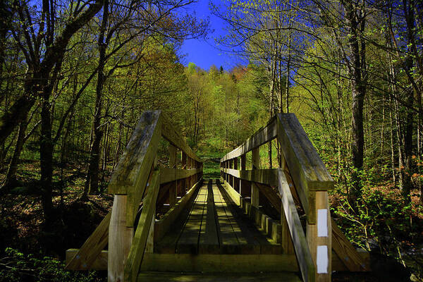 At Crosses Vt's Stoney Brook Horizontal Poster featuring the photograph AT Crosses VT's Stoney Brook Horizontal by Raymond Salani III