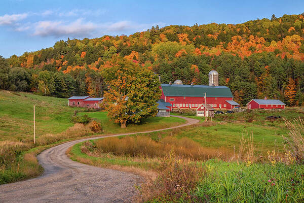 Hillside Acres Farm Poster featuring the photograph Autumn at the Farm by Kristen Wilkinson