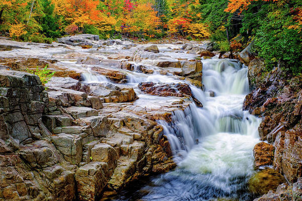 Albany Poster featuring the photograph Autumn Color at Rocky Gorge by Jeff Sinon