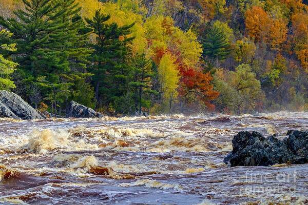 River Poster featuring the photograph Autumn Colors and Rushing Rapids  by Susan Rydberg