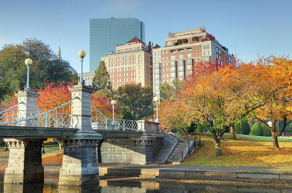 Downtown District Poster featuring the photograph Autumn In Boston by Denistangneyjr