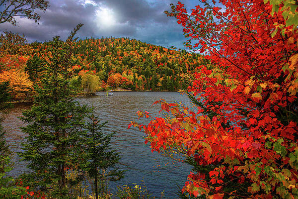 Fall Poster featuring the photograph Autumn in Nova Scotia by Patrick Boening