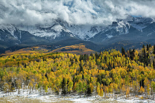 Aspen Poster featuring the photograph Autumn In The Clouds by Denise Bush