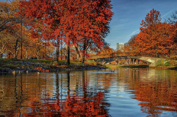 Boston Poster featuring the photograph Autumn on the Esplanade by Kristen Wilkinson
