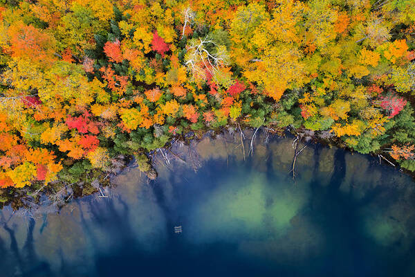 Michigan Poster featuring the photograph Autumn Pond by John Fan