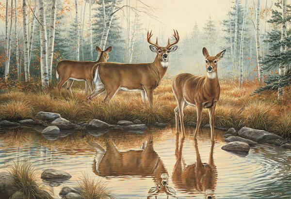 Lake Poster featuring the painting Autumn Reflections by Wild Wings