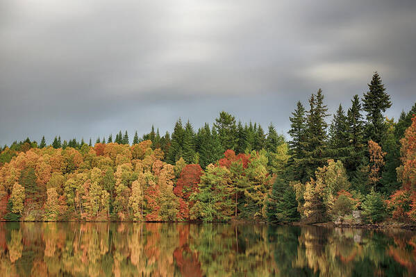 Autumn Poster featuring the photograph Autumn Tree Reflections by Grant Glendinning