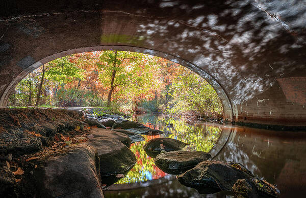 Autumn Poster featuring the photograph Autumn Tunnel Vision by John Randazzo