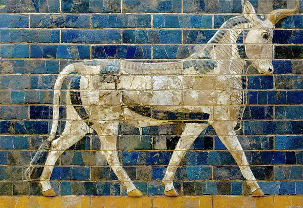 Babylonian Aurochs Poster featuring the photograph Babylonian Aurochs 01 by Weston Westmoreland