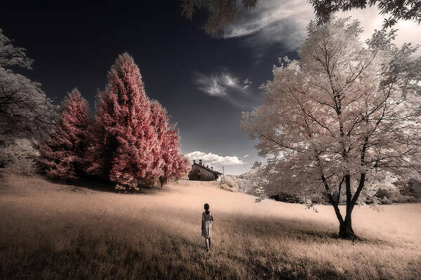 Infrared Poster featuring the photograph Back Home by Filippo Manini