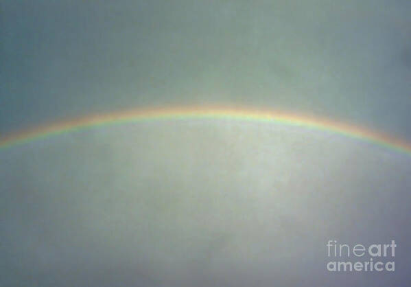 Rainbow Poster featuring the photograph Beautiful - Florida - Rainbow by D Hackett